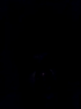 findmemylove online show from 29, 12, 2024