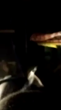 findmemylove online show from 7, 1, 2025