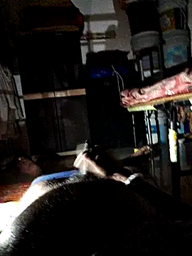 findmemylove online show from 12, 2, 2025