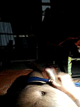 findmemylove online show from 1, 3, 2025