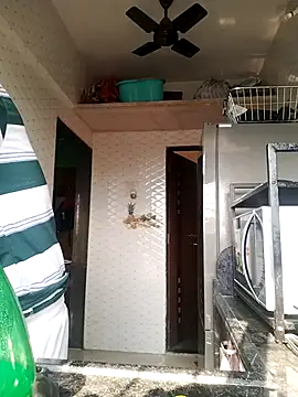 findmemylove online show from 11, 11, 2025