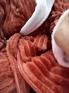 Rachoda-33 online show from 2, 3, 2026