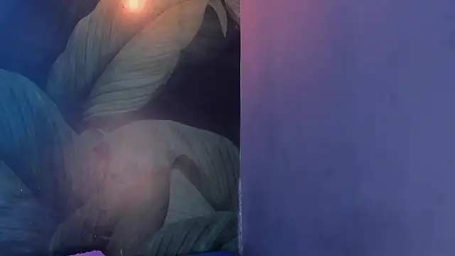 sweett dirty online show from 1, 2, 2025