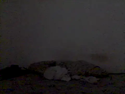 Snapshot of mariy_ chatting on 3, 3, 2025 mariy  online show from 3, 3, 2025