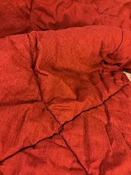 Brazilli online show from 9, 1, 2026