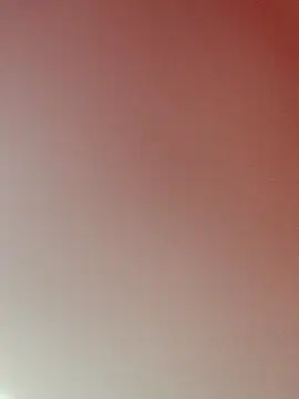 zhenzhen521 online show from 22, 2, 2026