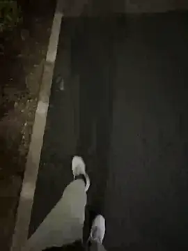 Tkcqcc online show from 15, 2, 2026