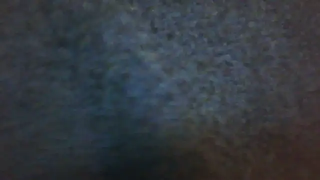 Snapshot of wedge75 chatting on 2, 12, 2024 wedge75 online show from 2, 12, 2024