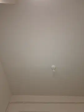 wedge75 online show from 20, 4, 2026