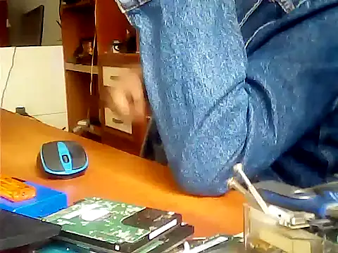 zormen355 online show from 30, 9, 2025