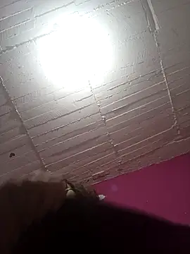 loba9706 online show from 25, 2, 2026