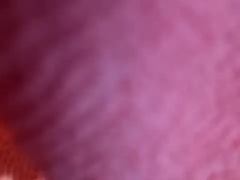 Amarok39 online show from 18, 10, 2025