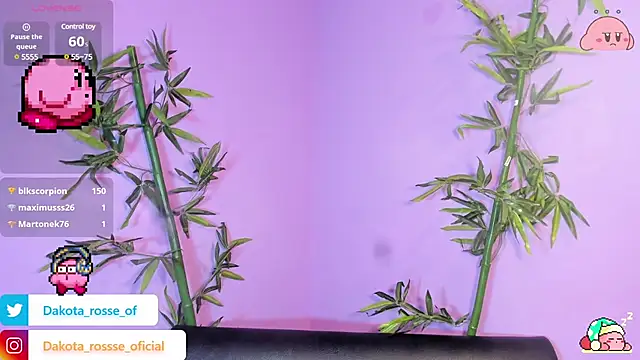 Snapshot of DakotaRosee chatting on 17, 2, 2025 DakotaRosee online show from 17, 2, 2025