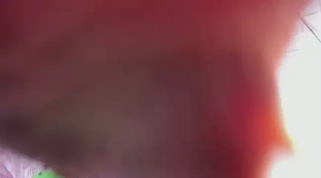 Kimmymadison- online show from 9, 3, 2025