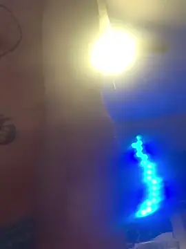 trash4cash online show from 6, 2, 2025