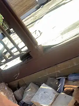 trash4cash online show from 25, 2, 2025