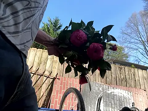 trash4cash online show from 7, 3, 2025