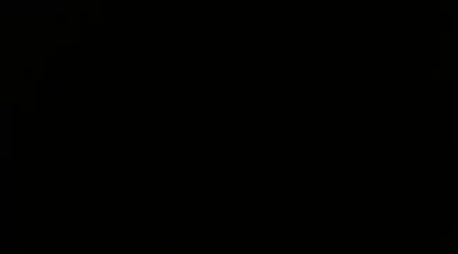 trash4cash online show from 10, 3, 2025