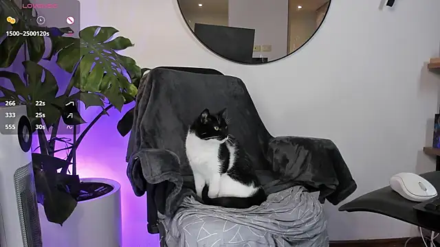 ariana fitl  online show from 28, 1, 2025