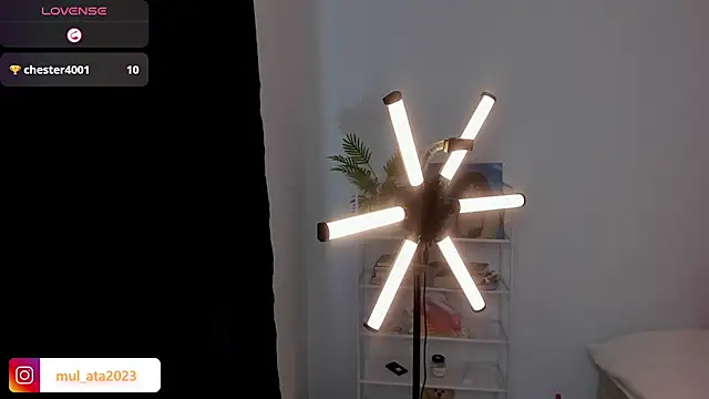 mulata 1ch online show from 5, 10, 2025