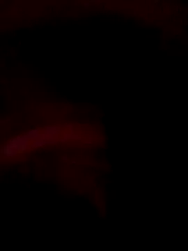 ySqmbVanbe online show from 14, 12, 2025