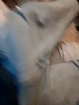 ySqmbVanbe online show from 17, 12, 2025