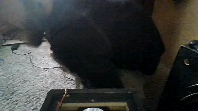 ySqmbVanbe online show from 15, 3, 2026