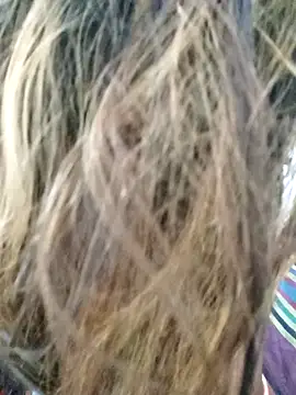 littlequeen77 online show from 11, 3, 2025