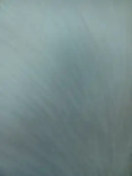 littlequeen77 online show from 22, 3, 2025