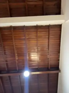 emiss  online show from 8, 2, 2026