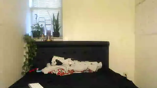 vixenpaisley2 online show from 7, 12, 2024