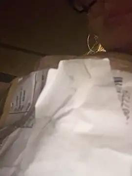 casalinga88 online show from 6, 11, 2025