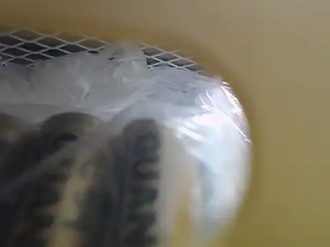 lovense test04 online show from 16, 10, 2025