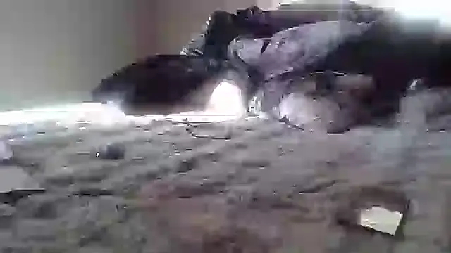 Snapshot of cassieleeknight11 chatting on 17, 1, 2025 cassieleeknight11 online show from 17, 1, 2025