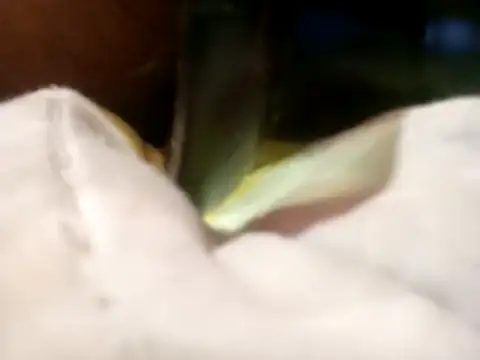 Pcsammy73 online show from 26, 11, 2025