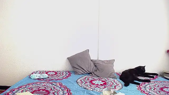 Snapshot of _joanne_and_oliver_ chatting on 17, 9, 2025 joanne and oliver online show from 17, 9, 2025