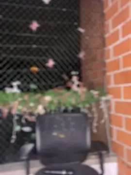 ValerieHilton online show from 12, 1, 2025