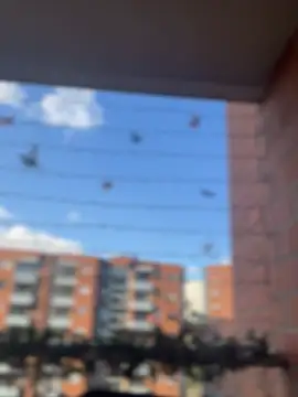 ValerieHilton online show from 18, 1, 2025