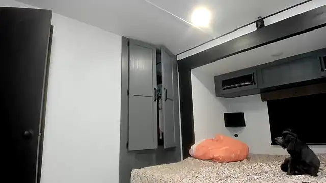 Snapshot of Persiasparadise chatting on 16, 2, 2026 Persiasparadise online show from 16, 2, 2026