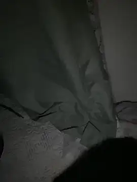 Snapshot of hypefock chatting on 24, 12, 2024 hypefock online show from 24, 12, 2024