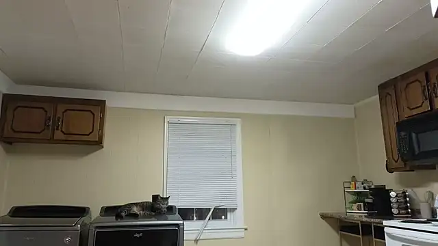 sexylilly69 online show from 13, 10, 2025