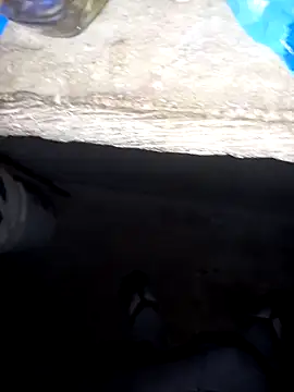 Snapshot of pujarteag chatting on 8, 4, 2026 pujarteag online show from 8, 4, 2026