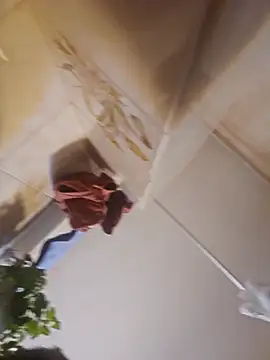 gordito xx online show from 4, 11, 2025