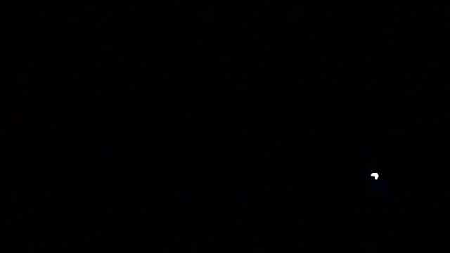 markluvskitty online show from 13, 3, 2026