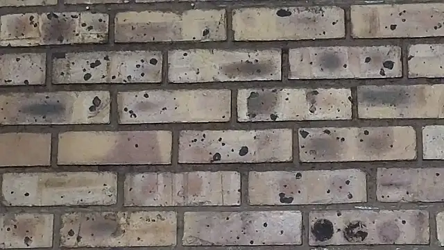 Astoria Moon online show from 22, 3, 2025