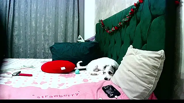 MikySWeet7 online show from 26, 6, 2026