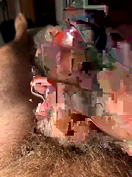 Snapshot of francoers chatting on 16, 10, 2025 francoers online show from 16, 10, 2025