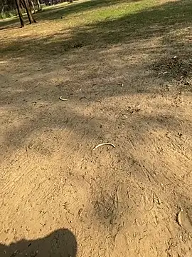 Cum on your tityyy online show from 13, 1, 2026