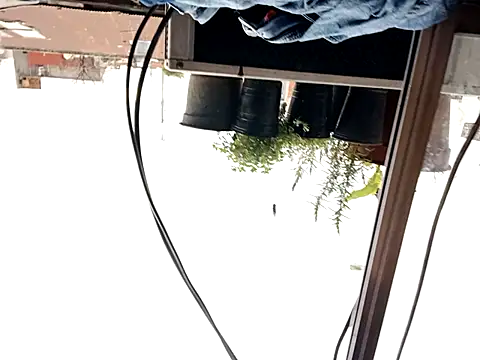 Snapshot of puak6666 chatting on 29, 9, 2025 puak6666 online show from 29, 9, 2025