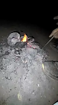 Snapshot of indobigboss chatting on 3, 1, 2025 indobigboss online show from 3, 1, 2025